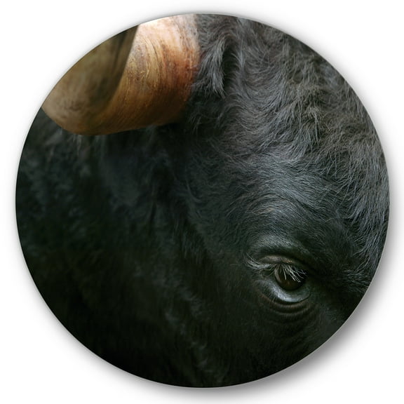 Designart 'Close-Up Of Eye Fighting Bull Head ' Farmhouse Circle Metal Wall Art 36x36 - Disc of 36