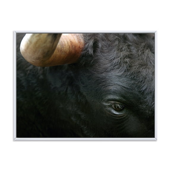 Designart 'Close-Up Of Eye Fighting Bull Head ' Farmhouse Framed Canvas Wall Art Print