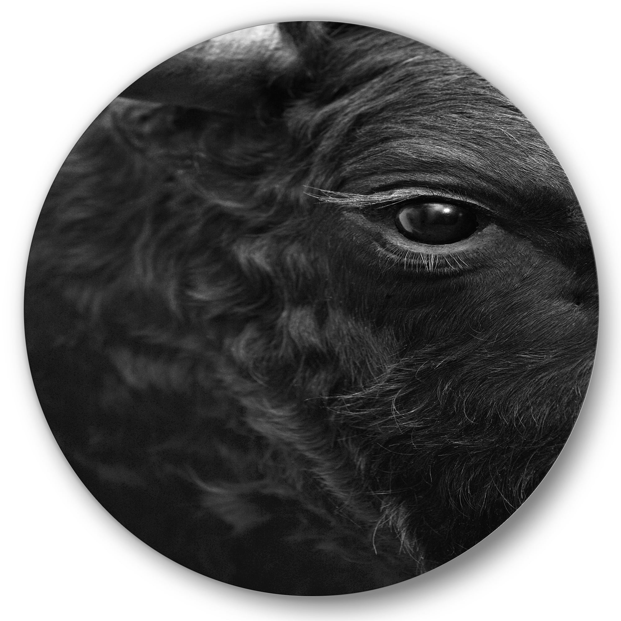 Designart 'Close Up Of Eye Of A Bull' Farmhouse Circle Metal Wall Art 36x36 - Disc of 36