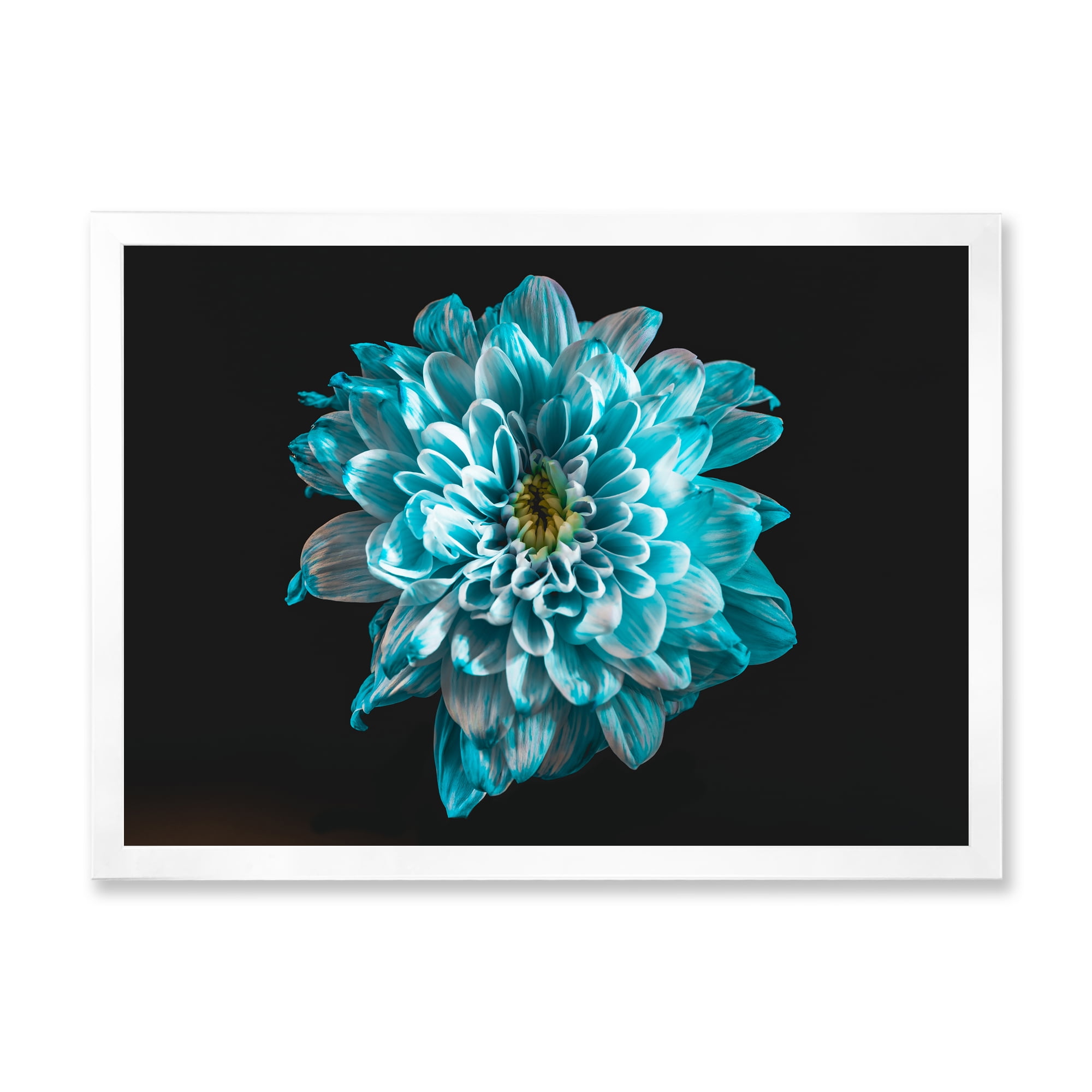Designart 'Close Up Of Flower With White and Blue Petals' Traditional Framed Art Print