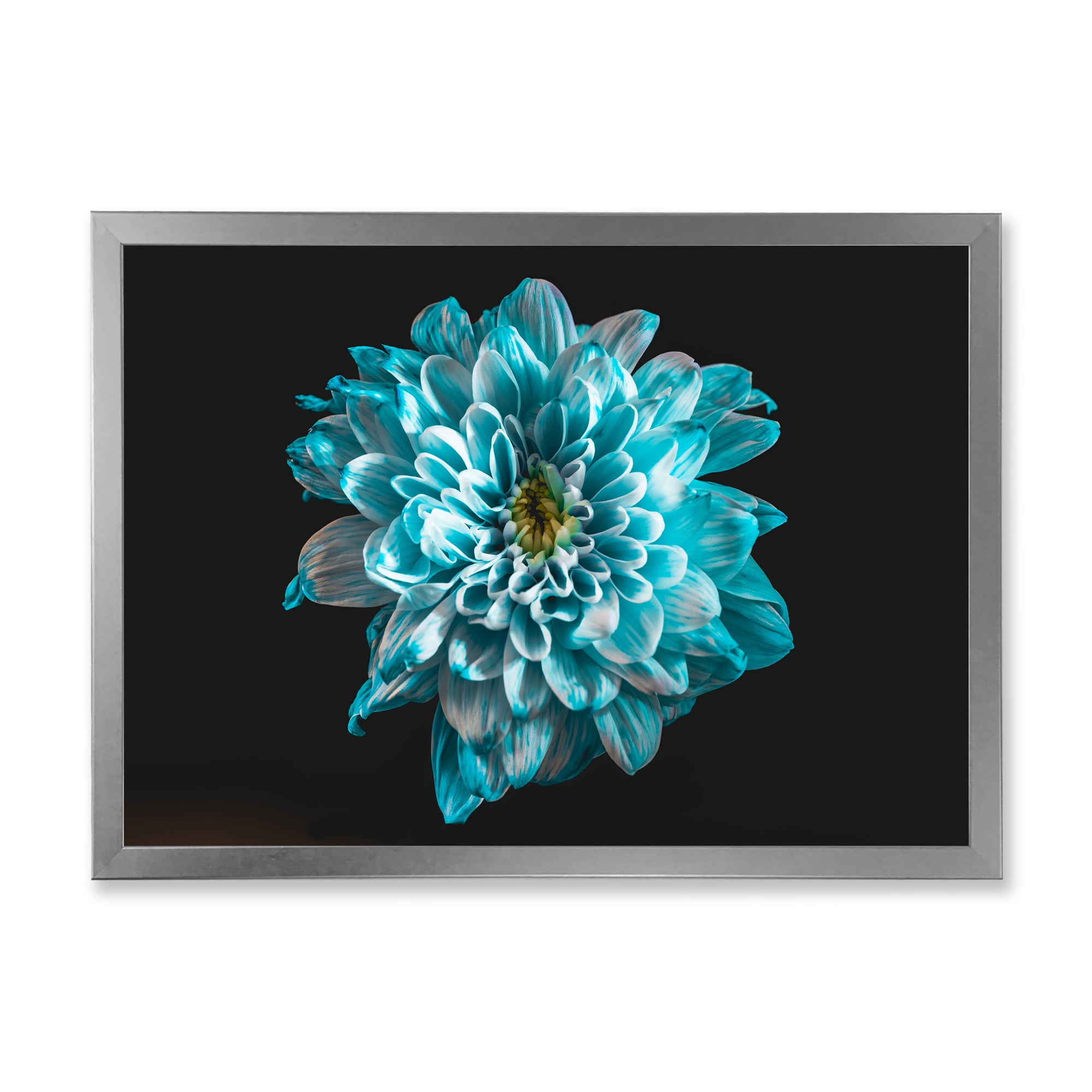 Designart 'Close Up Of Flower With White and Blue Petals' Traditional Framed Art Print