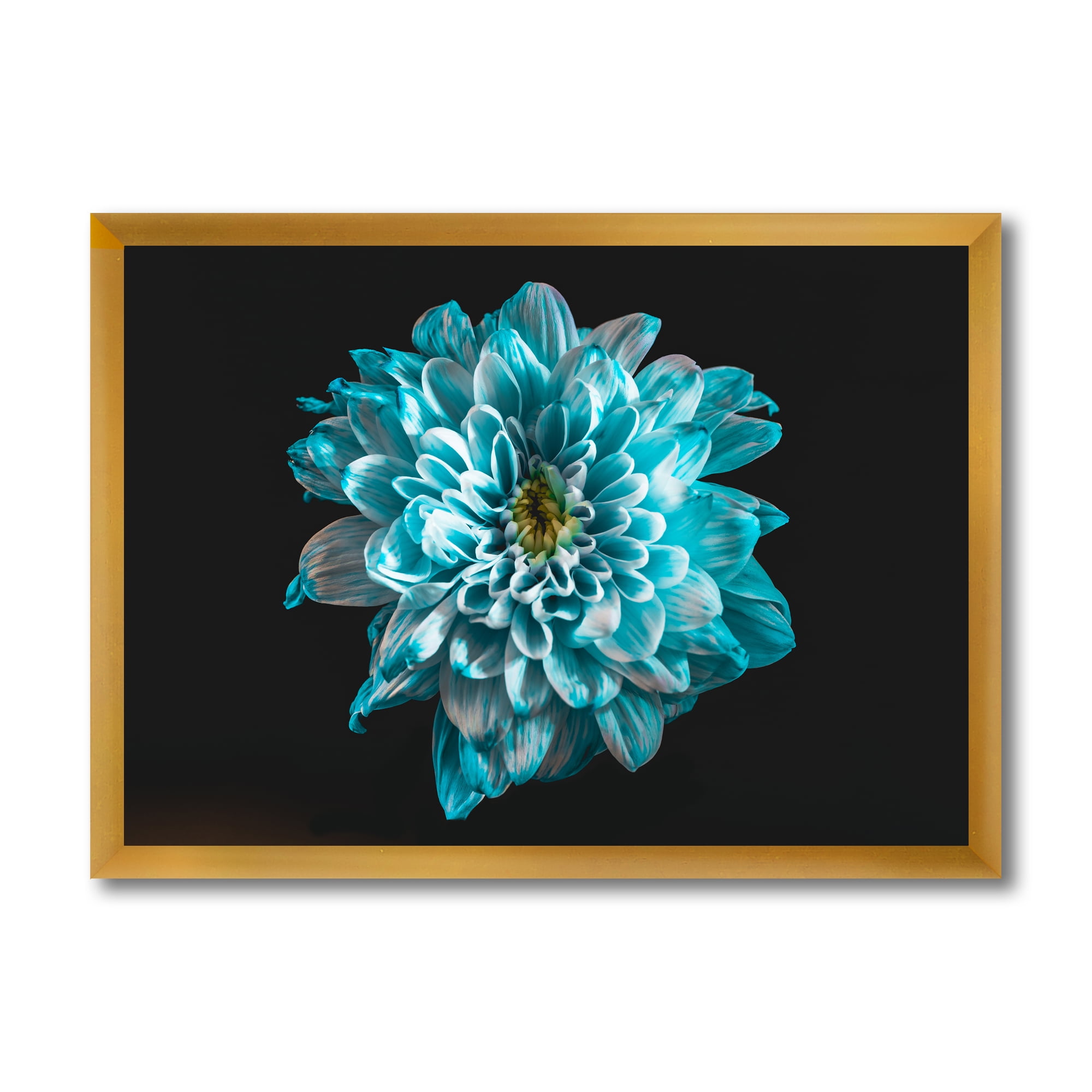 Designart 'Close Up Of Flower With White and Blue Petals' Traditional Framed Art Print