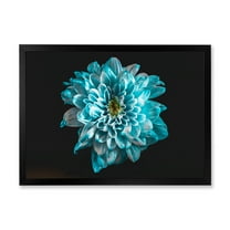 Designart 'Close Up Of Flower With White and Blue Petals' Traditional Framed Art Print