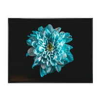 Designart 'Close Up Of Flower With White and Blue Petals' Traditional Framed Canvas Wall Art Print