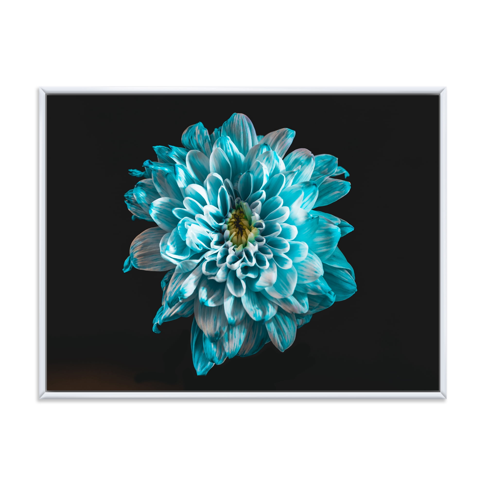 Designart 'Close Up Of Flower With White and Blue Petals' Traditional Framed Canvas Wall Art Print
