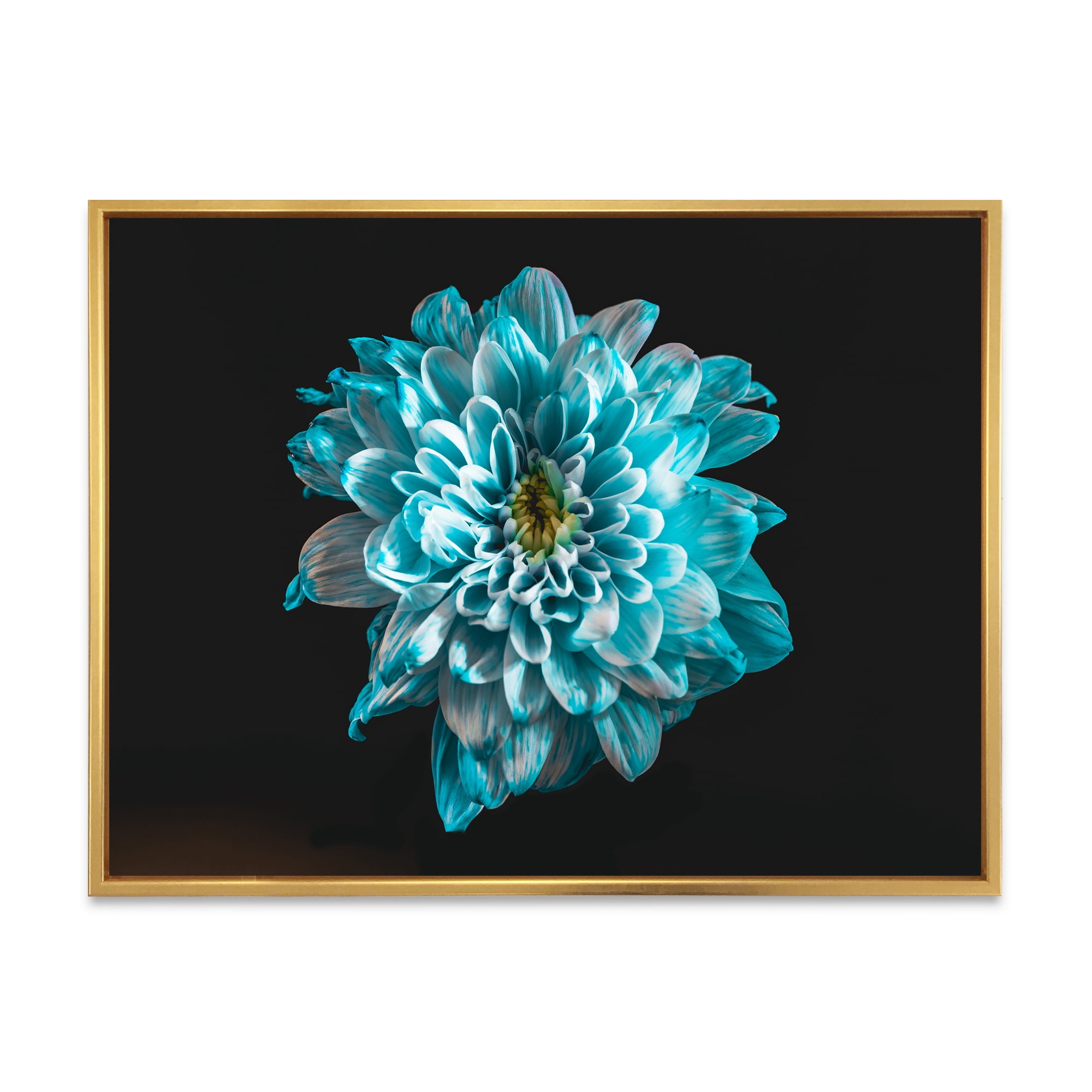 Designart 'Close Up Of Flower With White and Blue Petals' Traditional Framed Canvas Wall Art Print