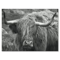 Designart ' Close Up Of Scottish Cow On Moorland I ' Farmhouse Canvas Wall Art Print
