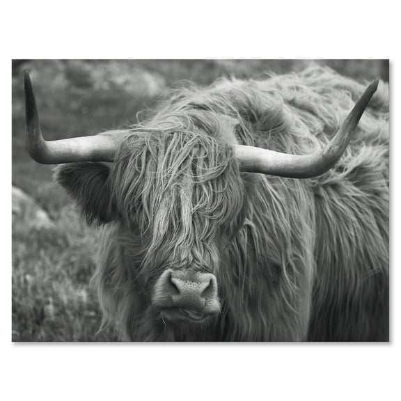 Designart ' Close Up Of Scottish Cow On Moorland I ' Farmhouse Canvas Wall Art Print