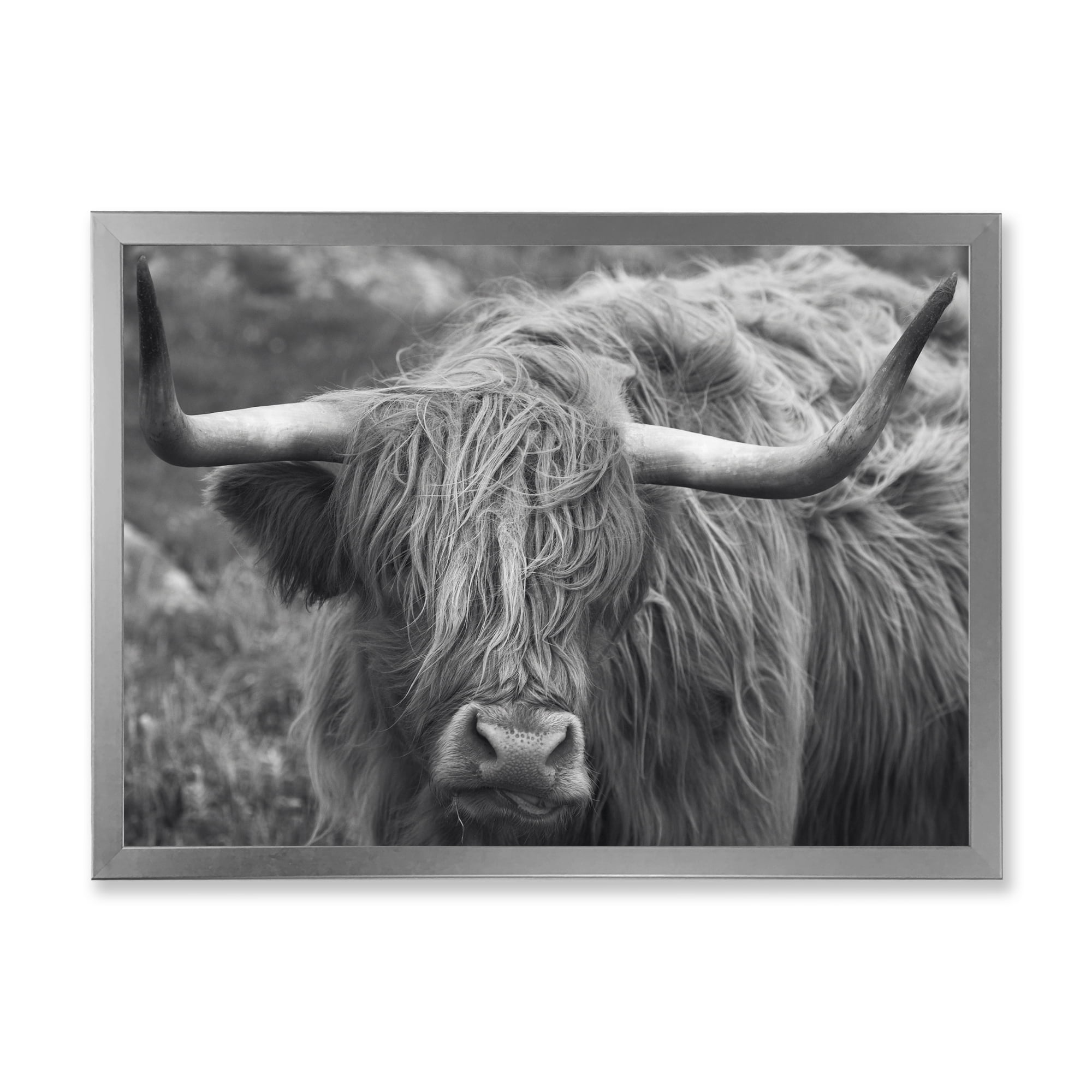 Designart 'Close Up Of Scottish Cow On Moorland I' Farmhouse Framed Art Print