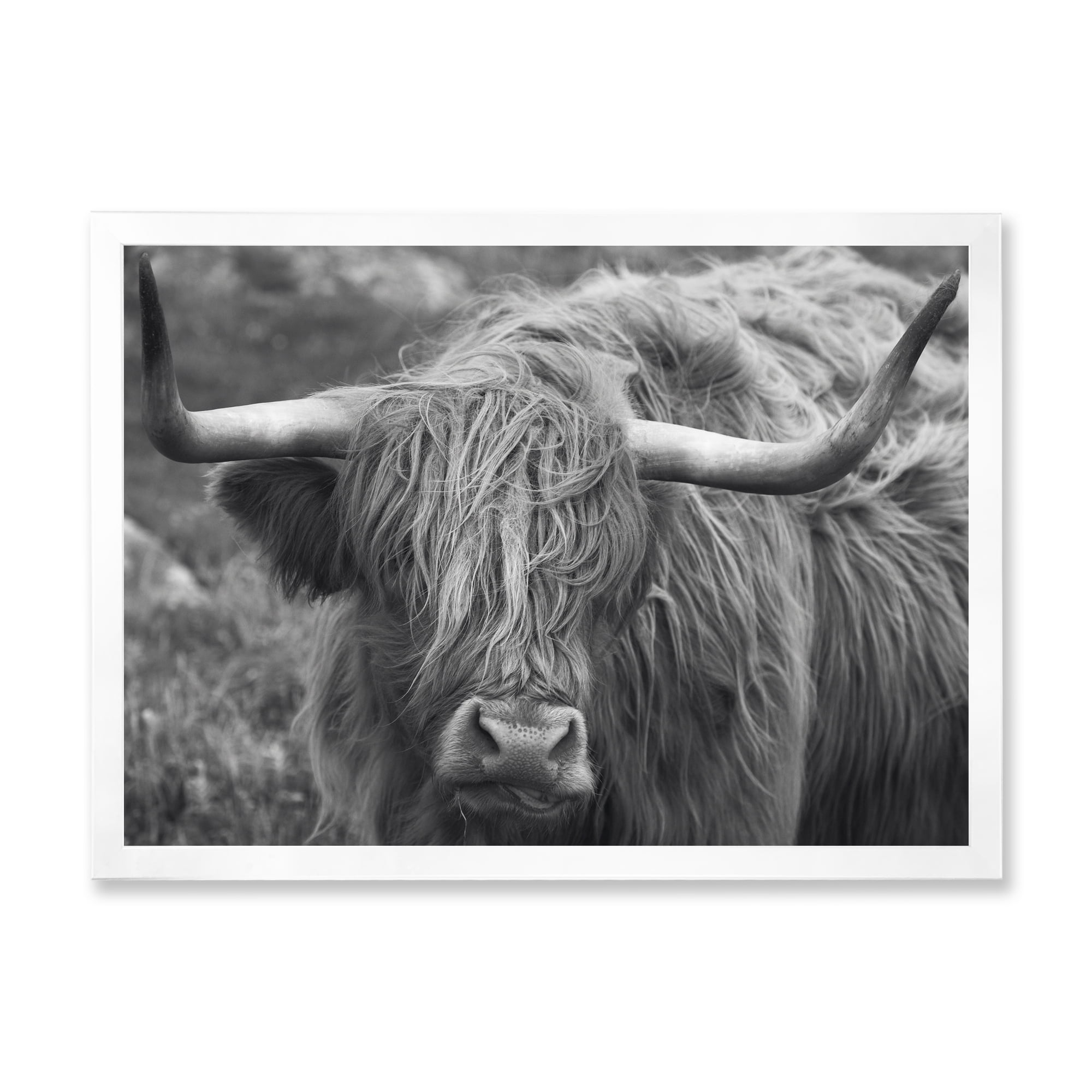 Designart 'Close Up Of Scottish Cow On Moorland I' Farmhouse Framed Art Print
