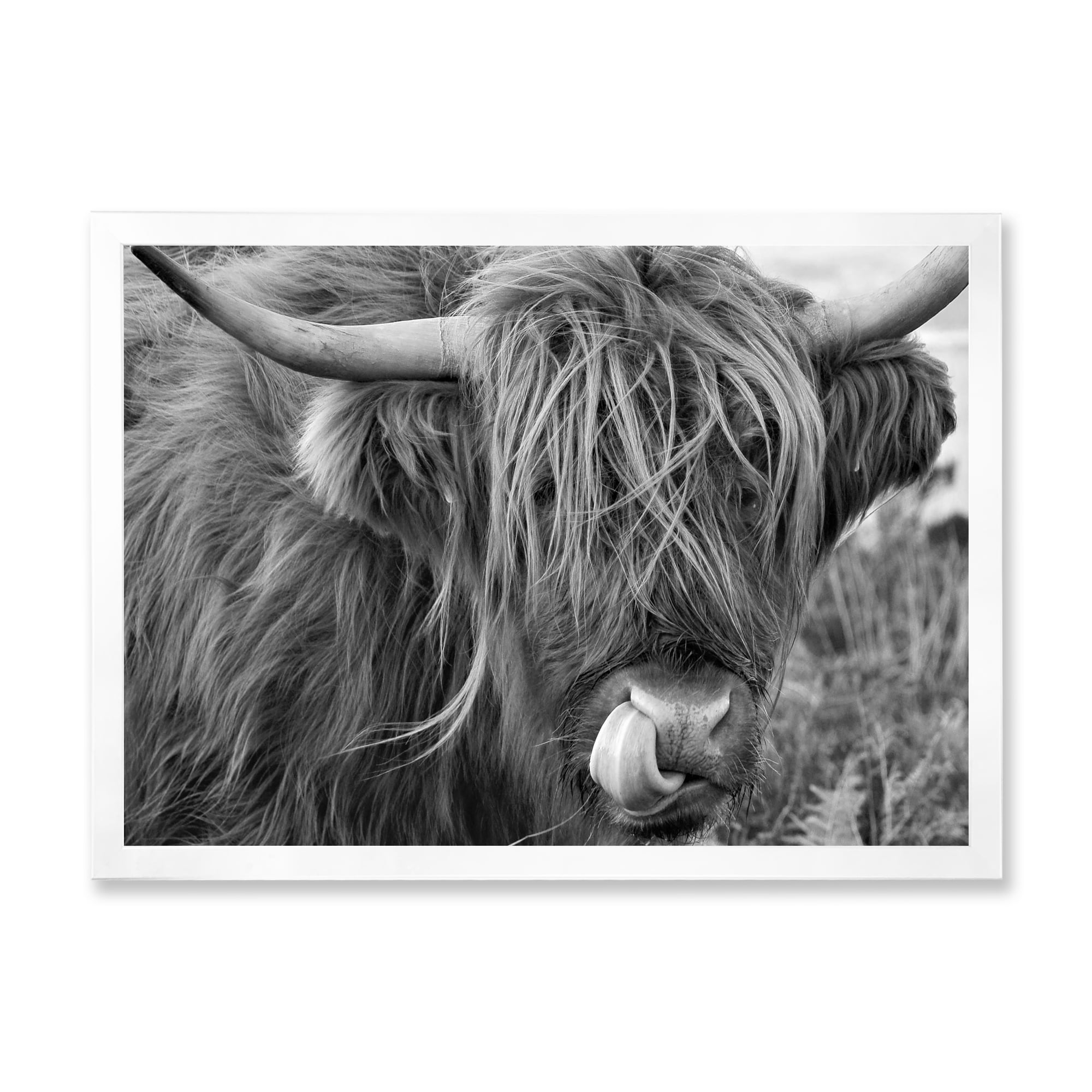 Designart 'Close Up Of Scottish Cow On Moorland II' Farmhouse Framed Art Print