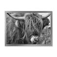 thumbnail image 1 of Designart 'Close Up Of Scottish Cow On Moorland II' Farmhouse Framed Art Print, 1 of 4