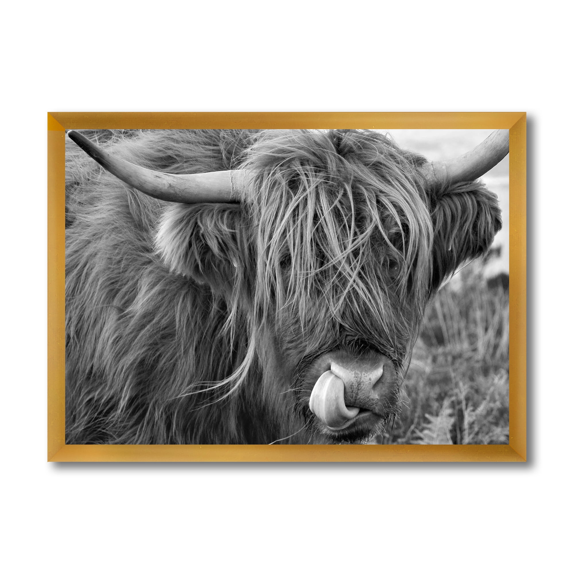 Designart 'Close Up Of Scottish Cow On Moorland II' Farmhouse Framed Art Print