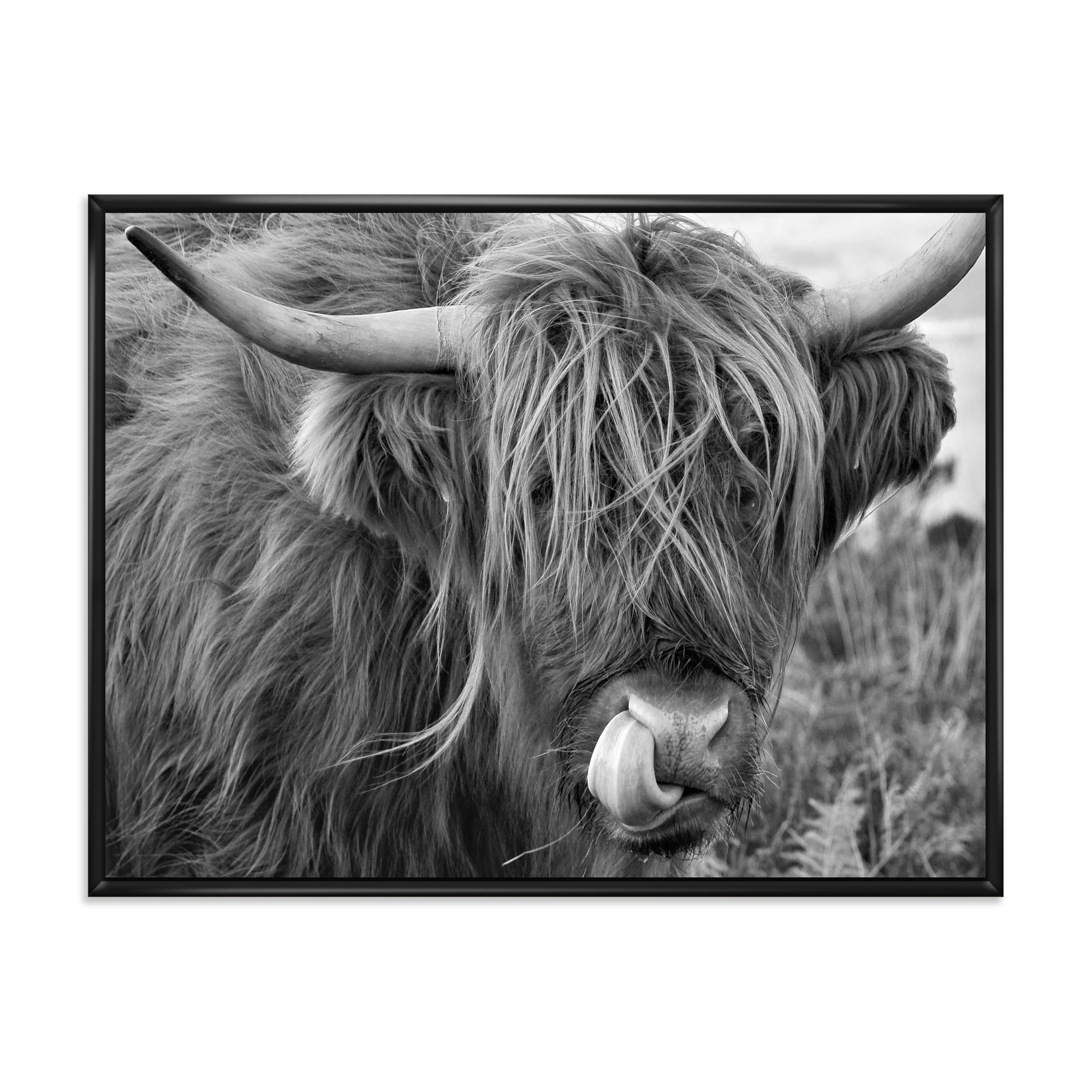 Designart 'Close Up Of Scottish Cow On Moorland II' Farmhouse Framed Canvas Wall Art Print