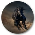 thumbnail image 1 of Designart 'Close Up Of Thoroughbred Nonius Stallion Horse I' Farmhouse Circle Metal Wall Art 11x11 - Disc of 11, 1 of 5