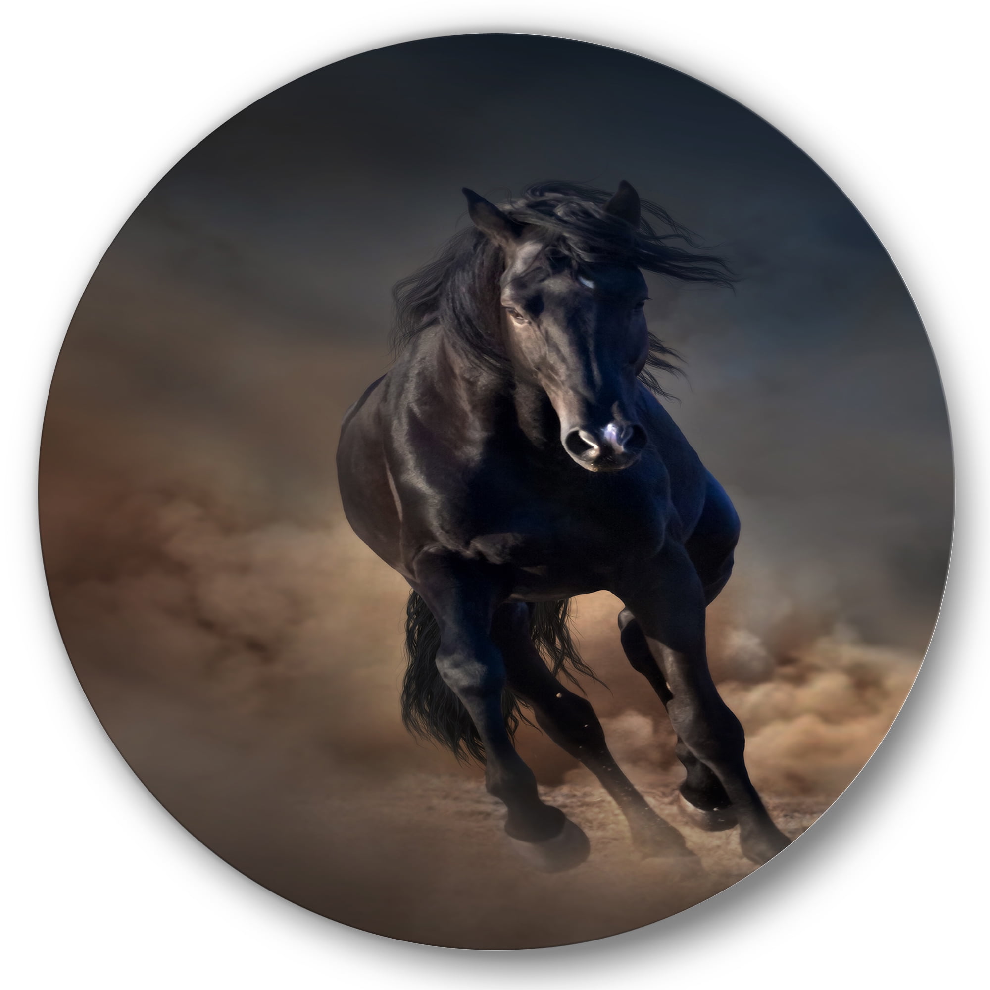 Designart 'Close Up Of Thoroughbred Nonius Stallion Horse I' Farmhouse Circle Metal Wall Art 29x29 - Disc of 29