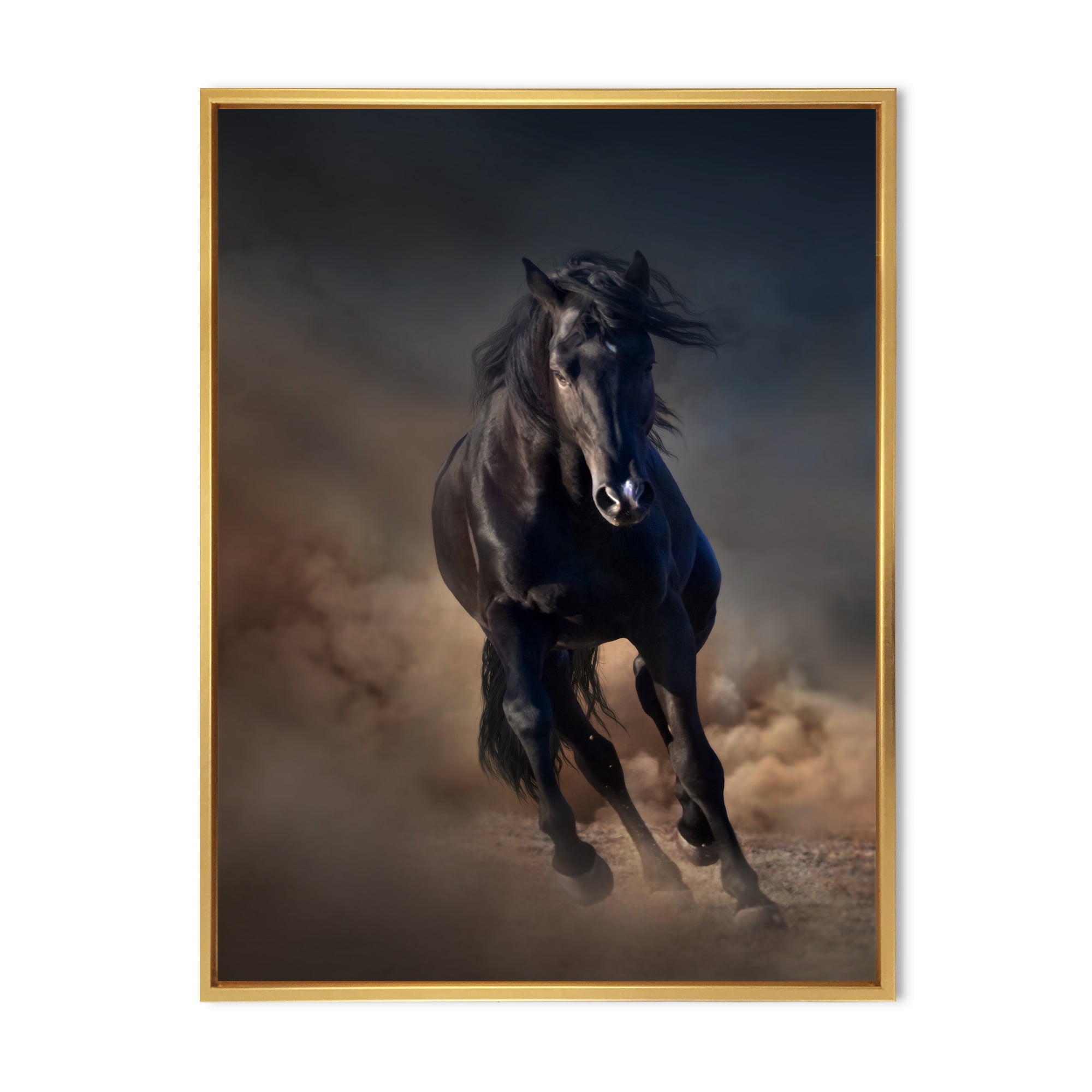 Designart 'Close Up Of Thoroughbred Nonius Stallion Horse I' Farmhouse Framed Canvas Wall Art Print