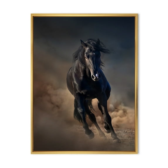 Designart 'Close Up Of Thoroughbred Nonius Stallion Horse I' Farmhouse Framed Canvas Wall Art Print