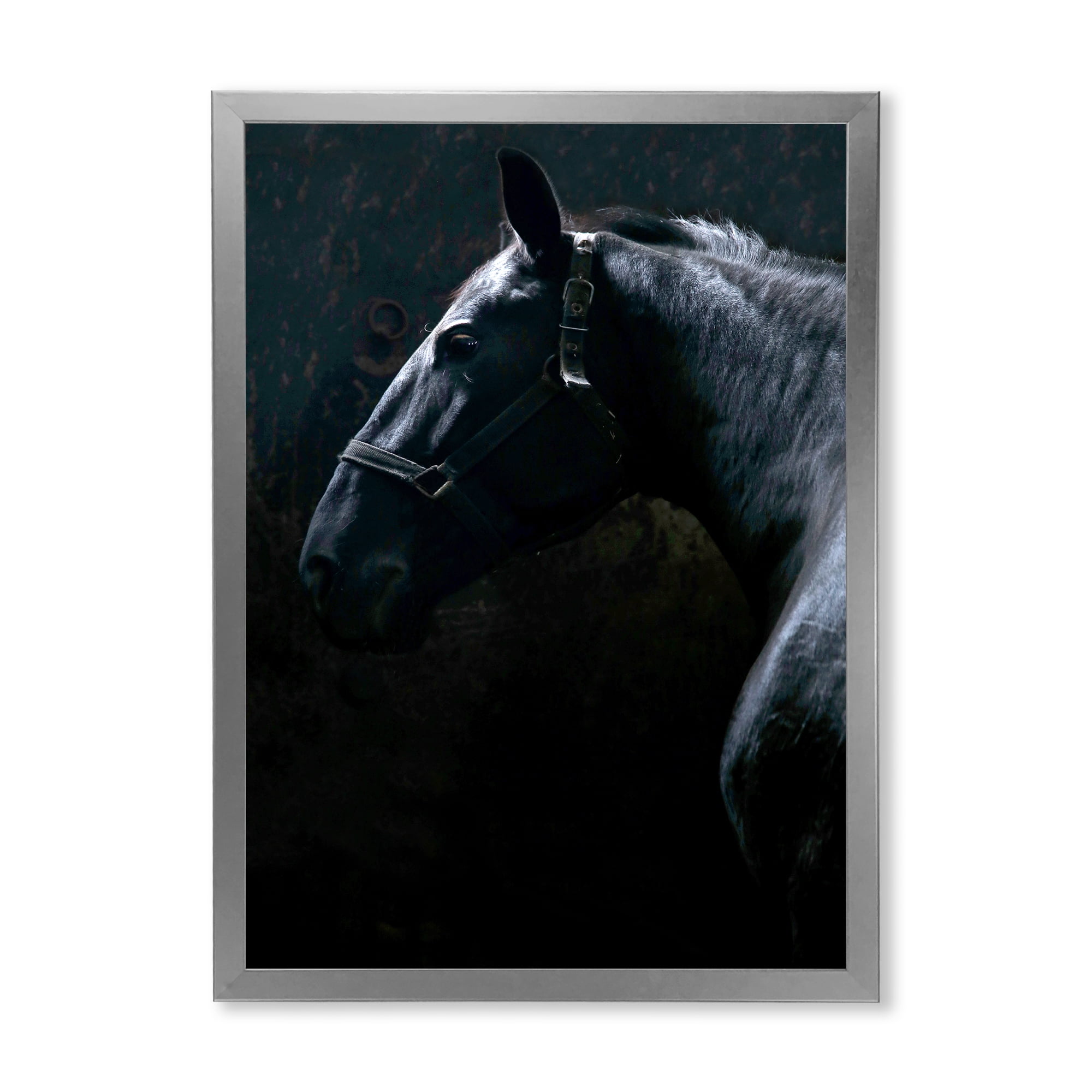 Designart 'Close Up Of Thoroughbred Nonius Stallion Horse II' Farmhouse Framed Art Print