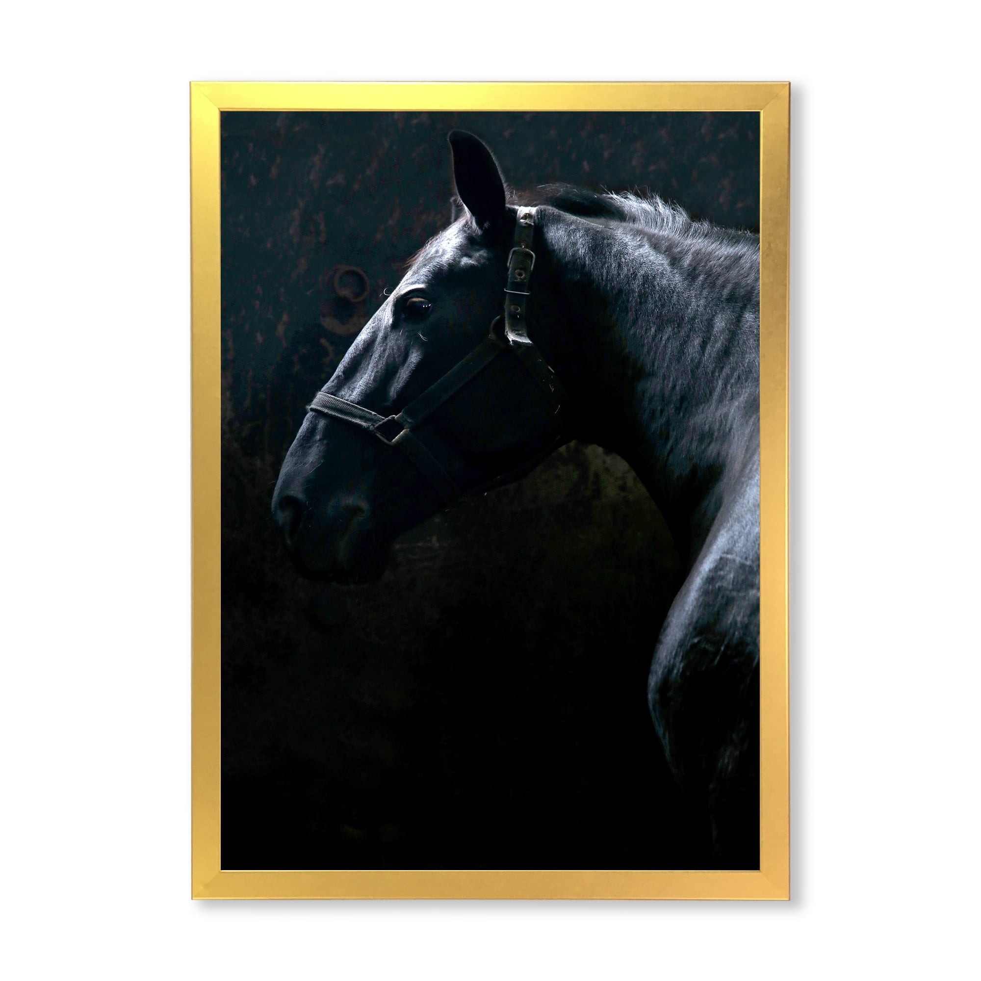 Designart 'Close Up Of Thoroughbred Nonius Stallion Horse II' Farmhouse Framed Art Print