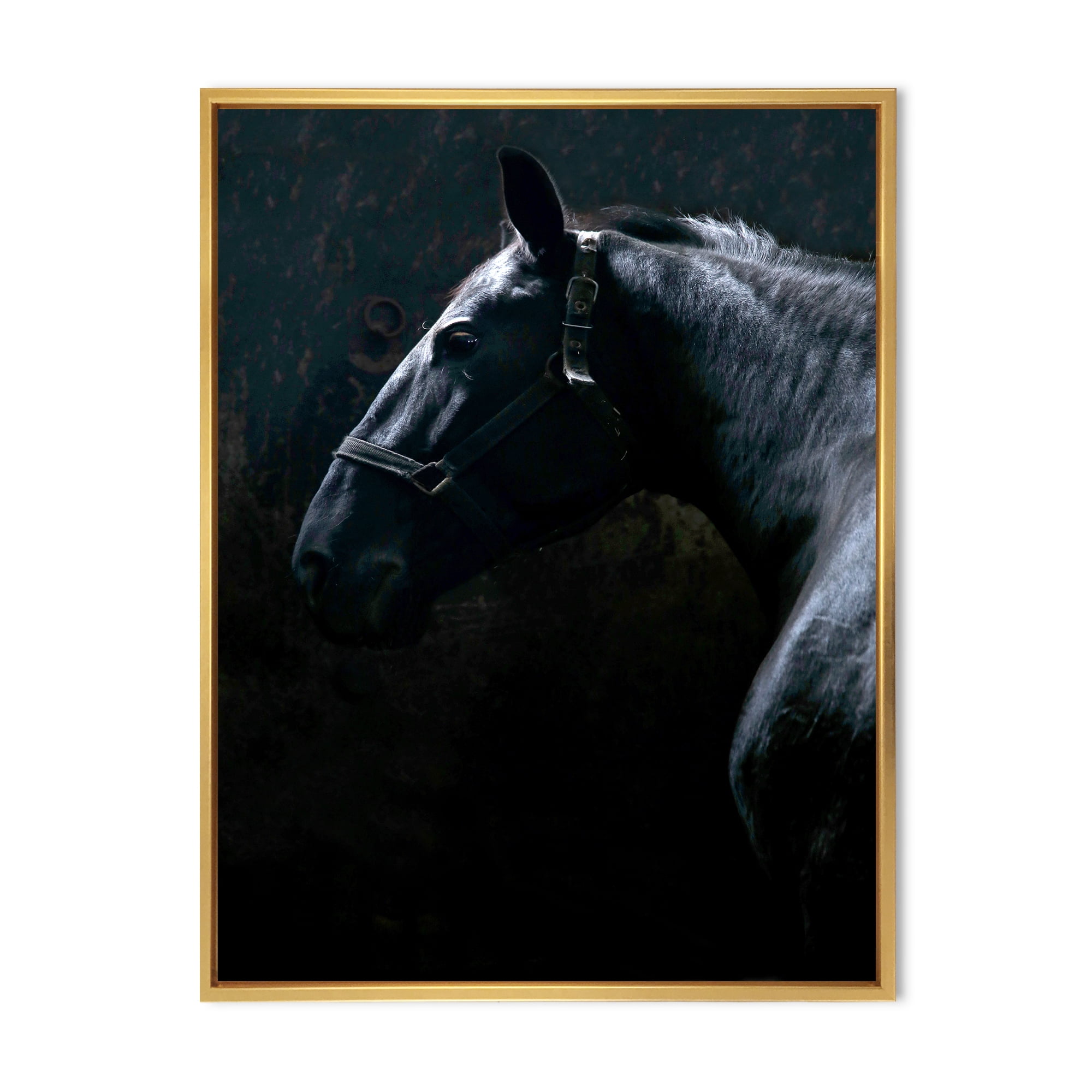 Designart 'Close Up Of Thoroughbred Nonius Stallion Horse II' Farmhouse Framed Canvas Wall Art Print