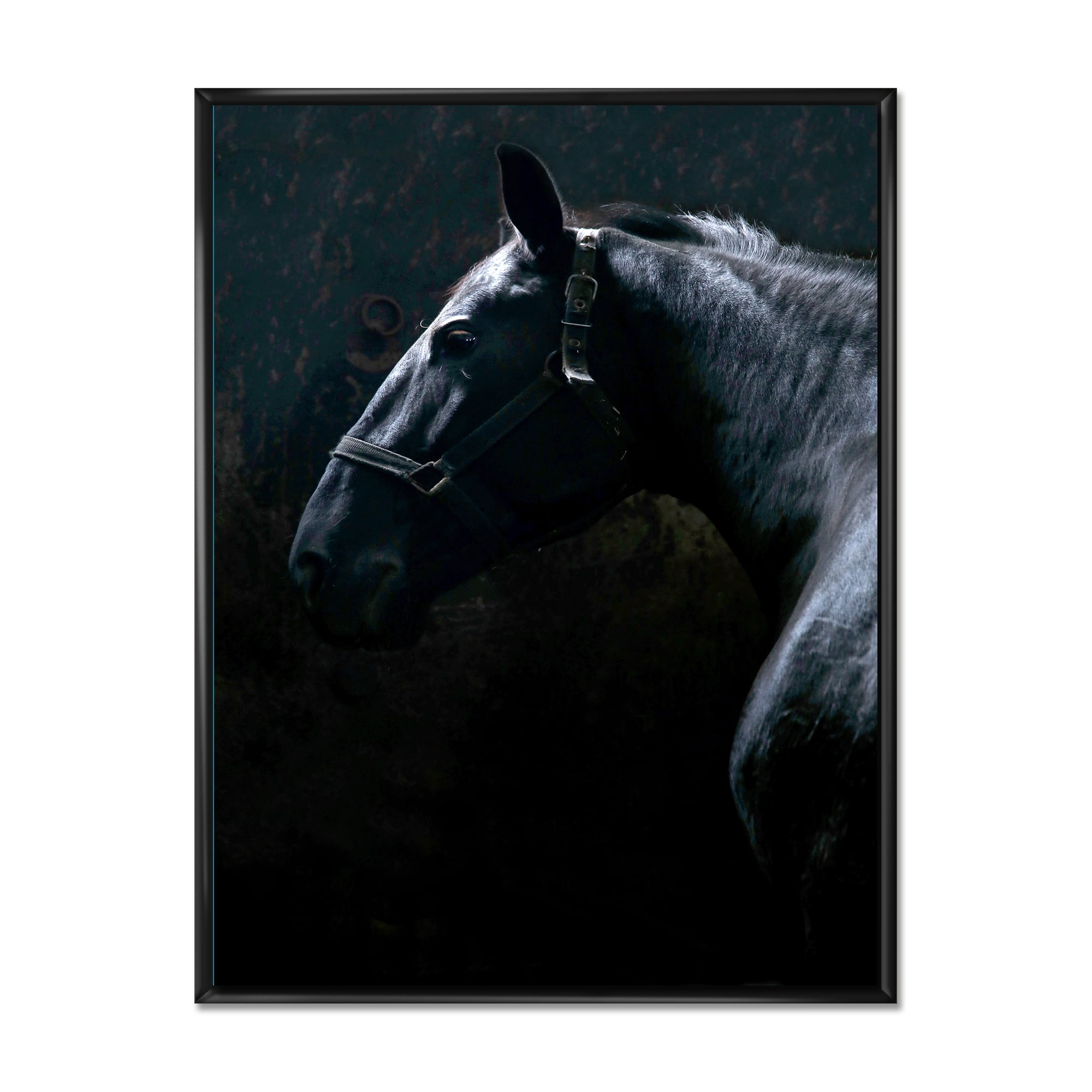 Designart 'Close Up Of Thoroughbred Nonius Stallion Horse II' Farmhouse Framed Canvas Wall Art Print