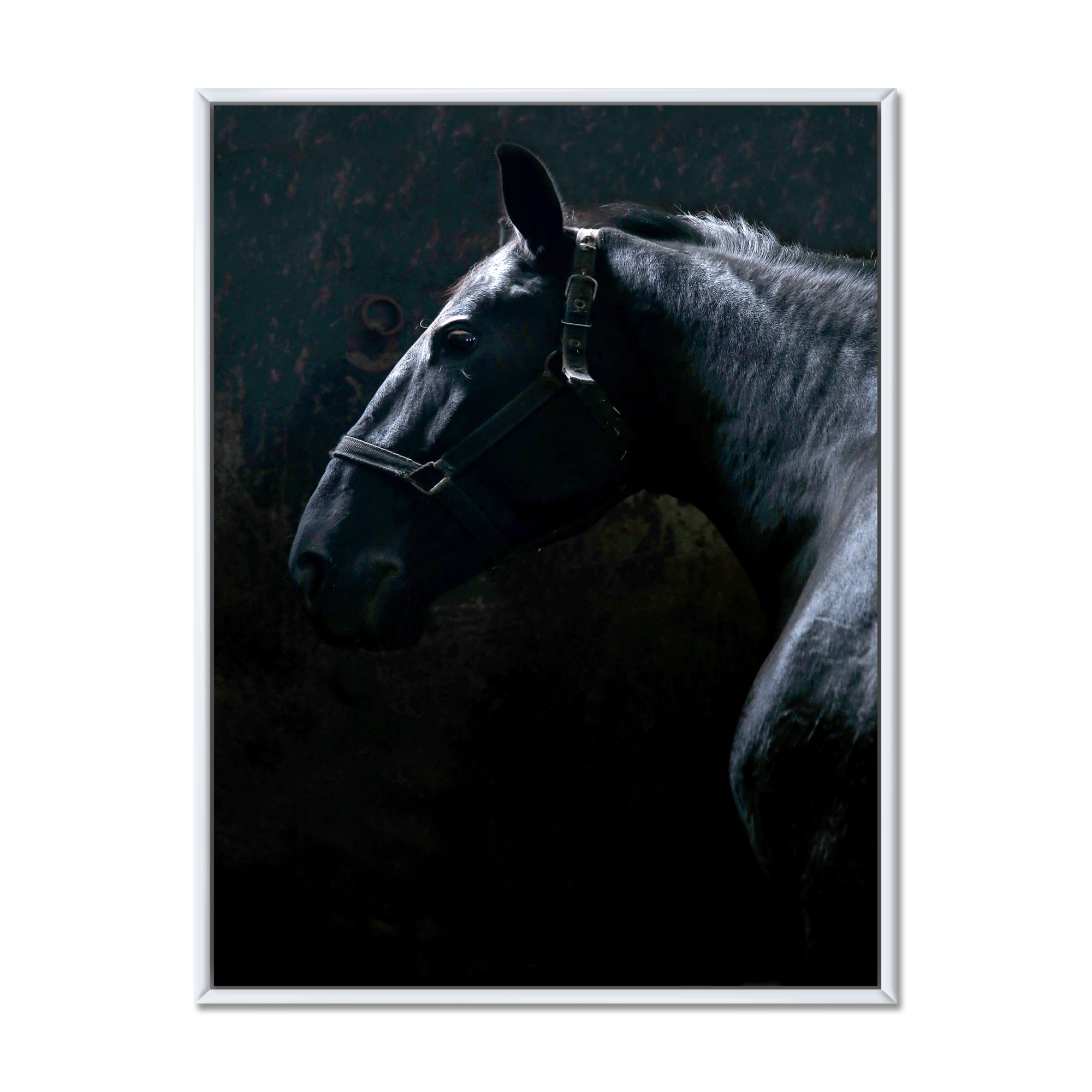 Designart 'Close Up Of Thoroughbred Nonius Stallion Horse II' Farmhouse Framed Canvas Wall Art Print