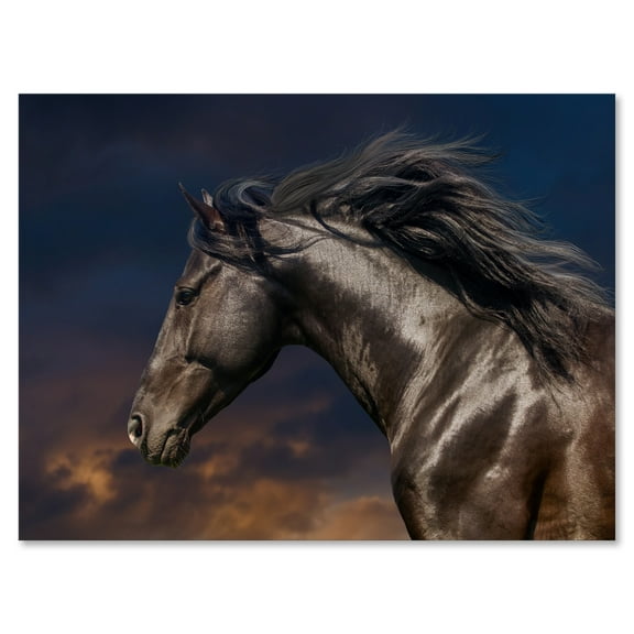 Designart ' Close Up Of Thoroughbred Nonius Stallion Horse III ' Farmhouse Canvas Wall Art Print