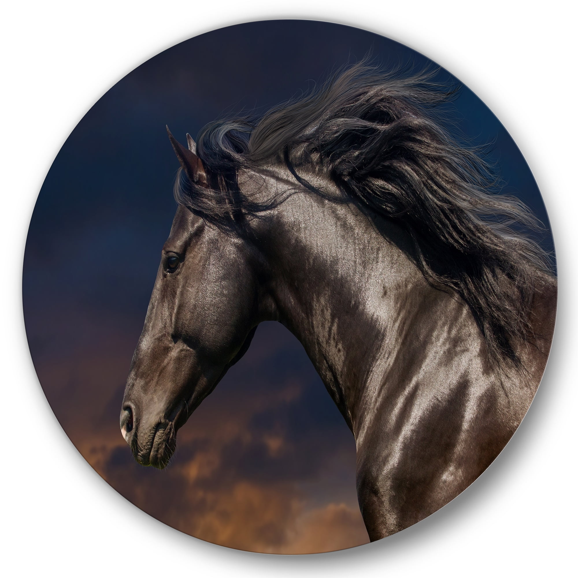 Designart 'Close Up Of Thoroughbred Nonius Stallion Horse III' Farmhouse Circle Metal Wall Art 29x29 - Disc of 29