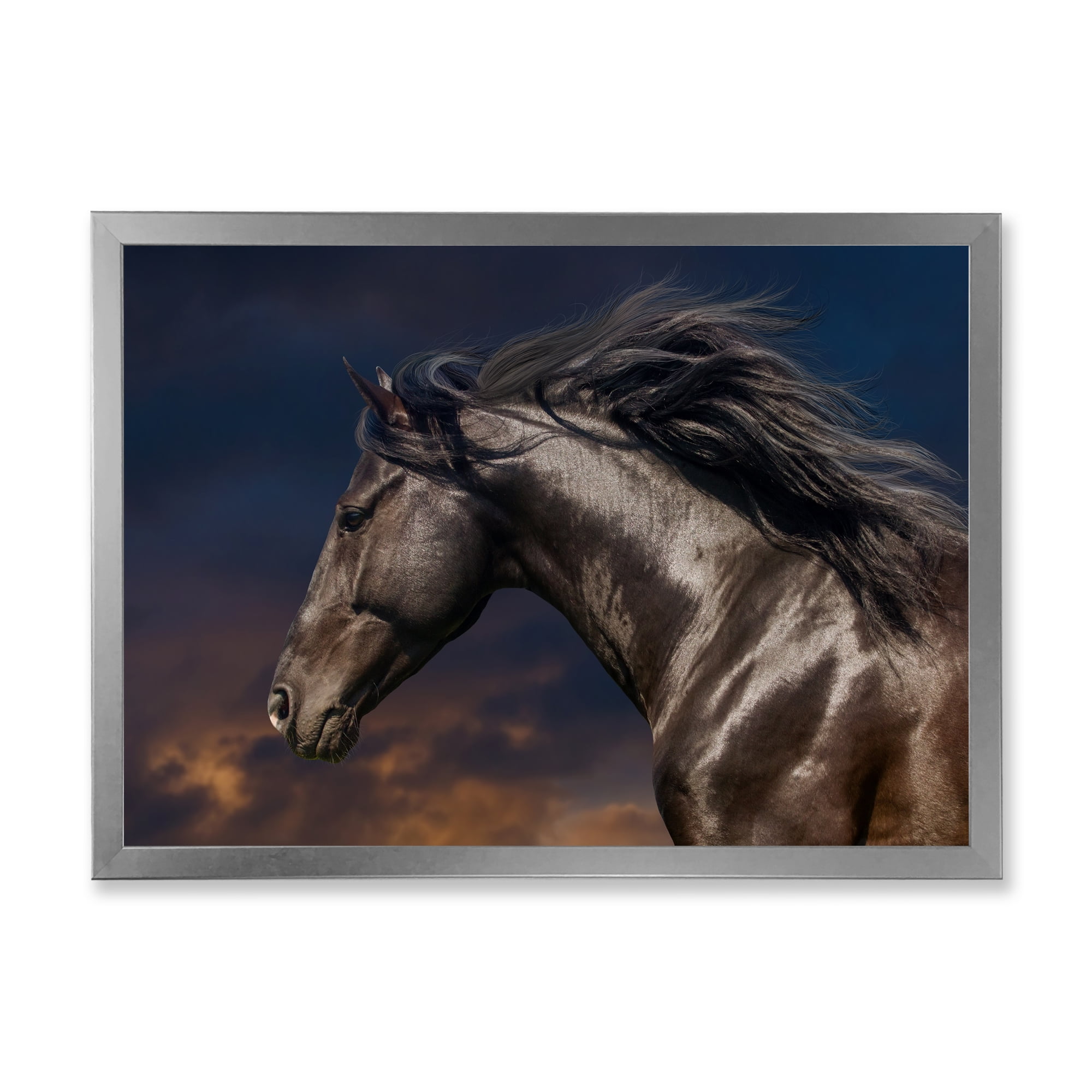 Designart 'Close Up Of Thoroughbred Nonius Stallion Horse III' Farmhouse Framed Art Print