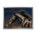 thumbnail image 1 of Designart 'Close Up Of Thoroughbred Nonius Stallion Horse III' Farmhouse Framed Art Print, 1 of 4