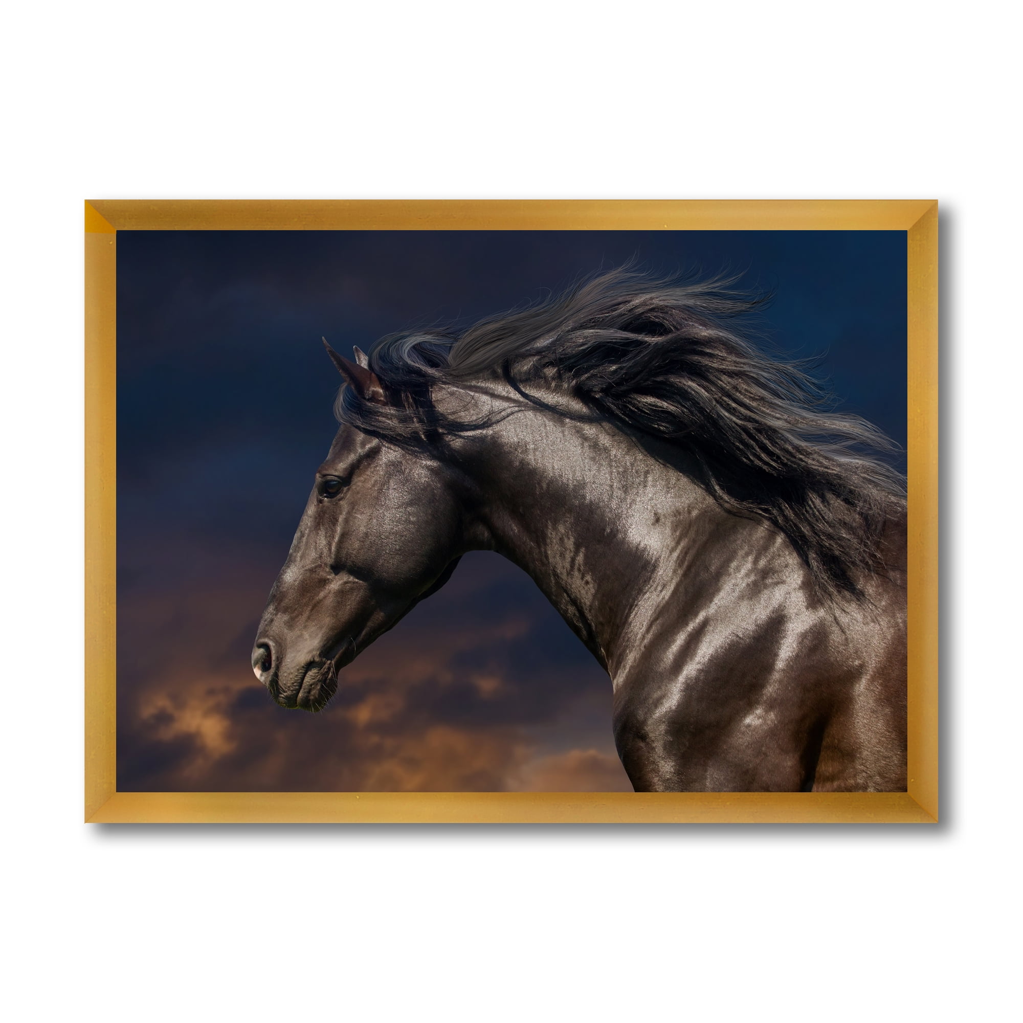 Designart 'Close Up Of Thoroughbred Nonius Stallion Horse III' Farmhouse Framed Art Print