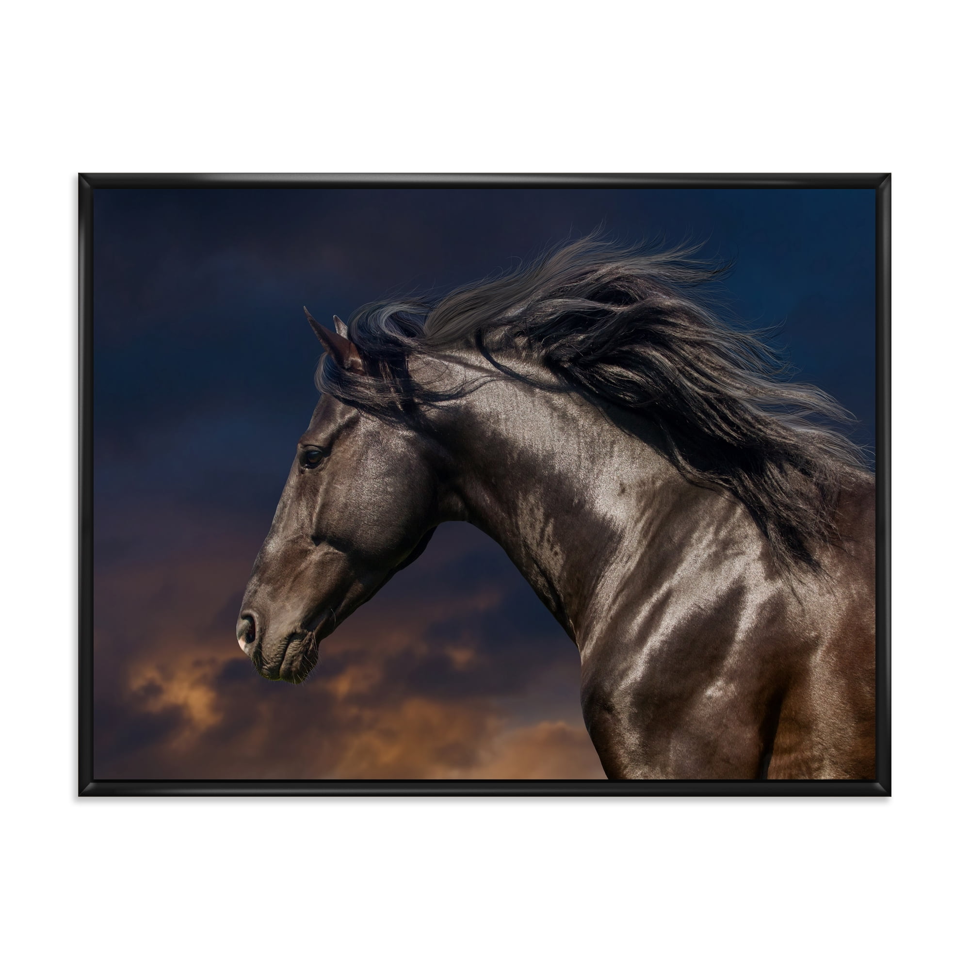 Designart 'Close Up Of Thoroughbred Nonius Stallion Horse III' Farmhouse Framed Canvas Wall Art Print