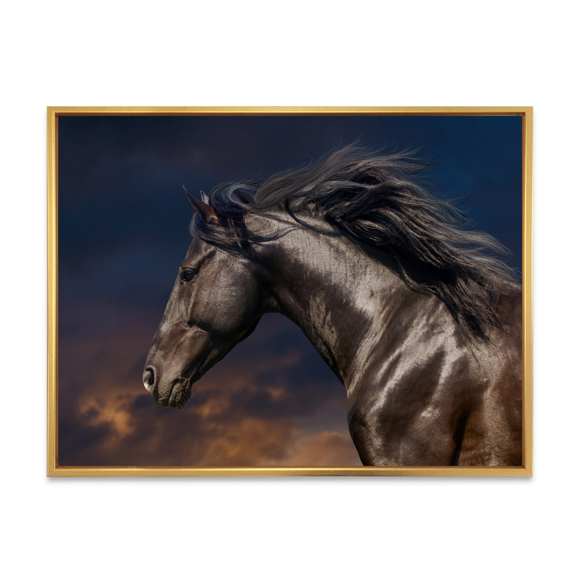 Designart 'Close Up Of Thoroughbred Nonius Stallion Horse III' Farmhouse Framed Canvas Wall Art Print