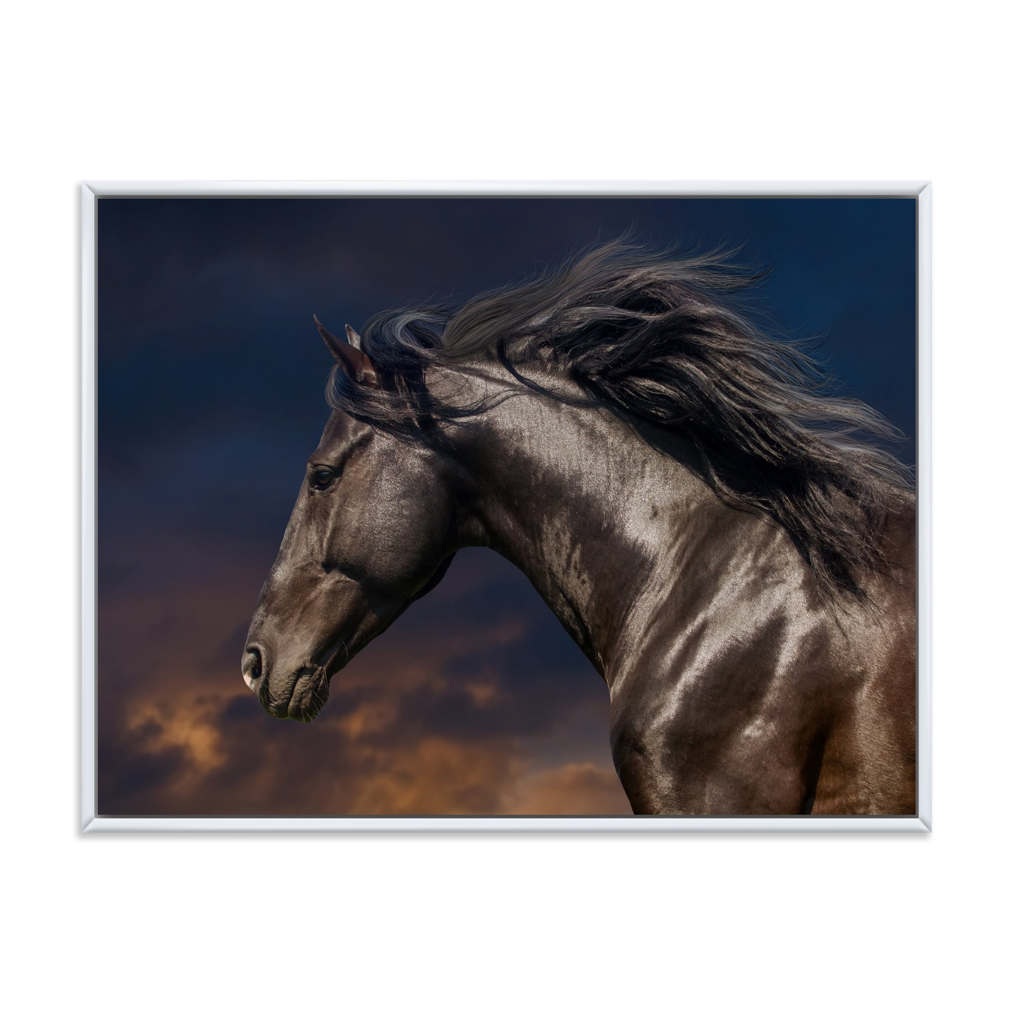 Designart 'Close Up Of Thoroughbred Nonius Stallion Horse III' Farmhouse Framed Canvas Wall Art Print
