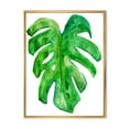 thumbnail image 1 of Designart 'Close Up Of Tropical Leaf Of Monstera I' Farmhouse Framed Canvas Wall Art Print, 1 of 5
