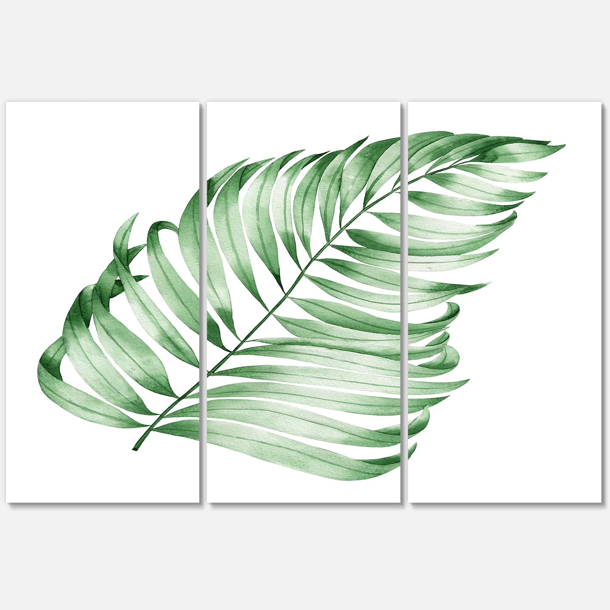 Designart ' Close Up Of Tropical Leaf Of Monstera II ' Farmhouse Canvas Wall Art Print