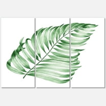 Designart ' Close Up Of Tropical Leaf Of Monstera II ' Farmhouse Canvas Wall Art Print