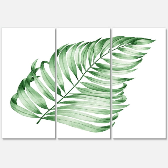 Designart ' Close Up Of Tropical Leaf Of Monstera II ' Farmhouse Canvas Wall Art Print