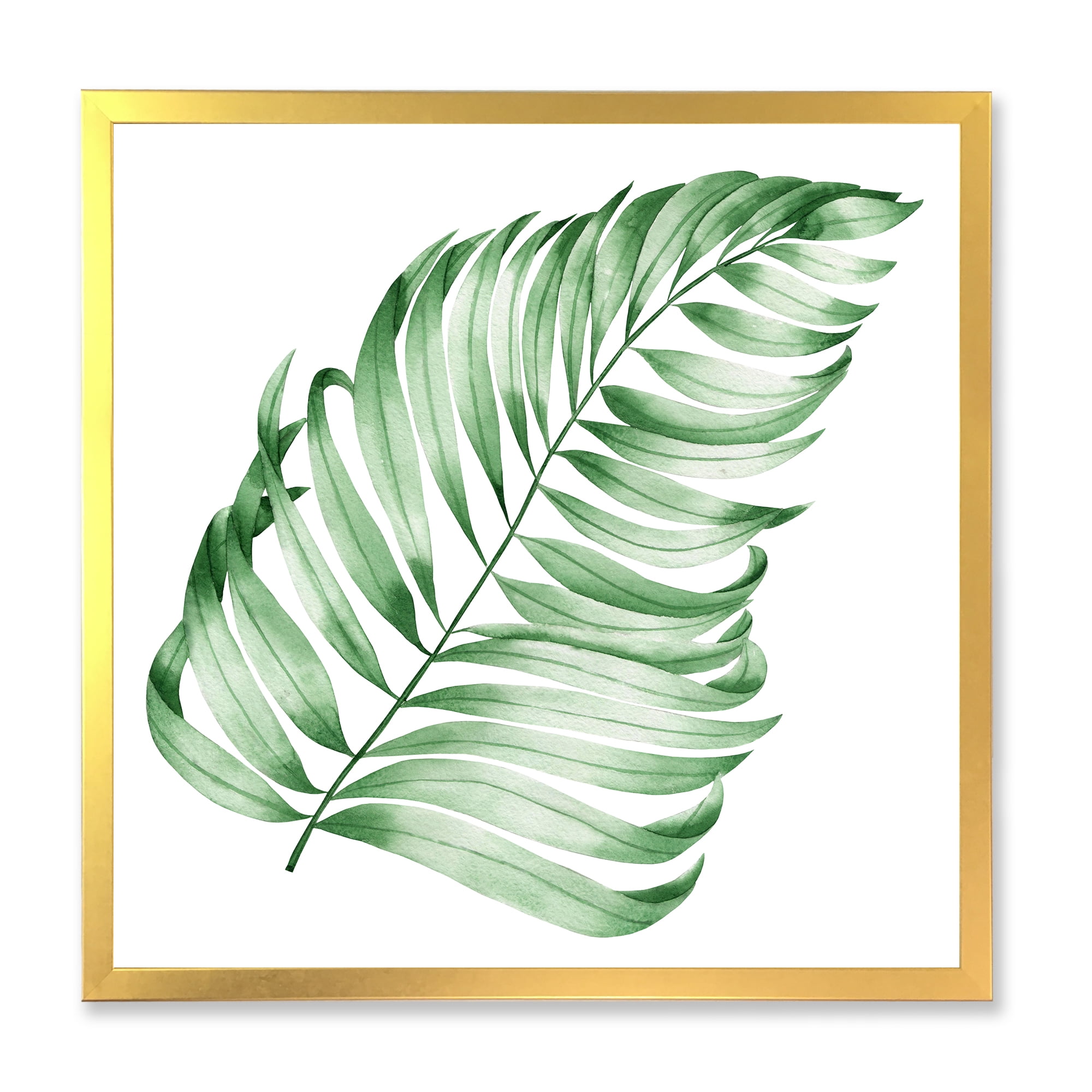 Designart 'Close Up Of Tropical Leaf Of Monstera II' Farmhouse Framed Art Print