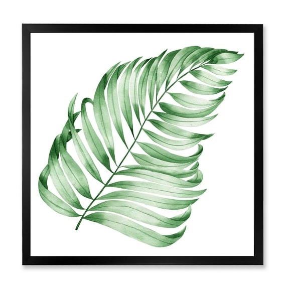 Designart 'Close Up Of Tropical Leaf Of Monstera II' Farmhouse Framed Art Print