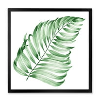 Designart 'Close Up Of Tropical Leaf Of Monstera II' Farmhouse Framed Art Print