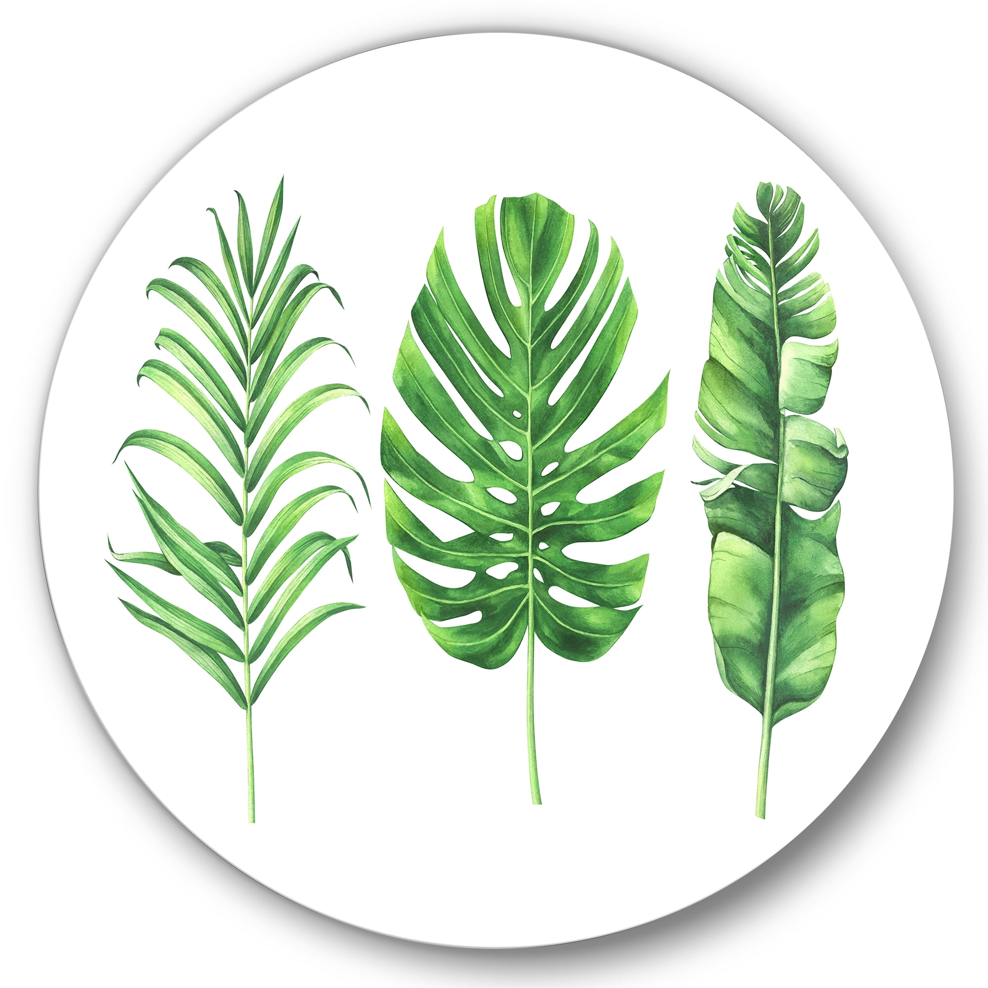 Designart 'Close Up Of Tropical Leaf Of Monstera IV' Farmhouse Circle Metal Wall Art 29x29 - Disc of 29