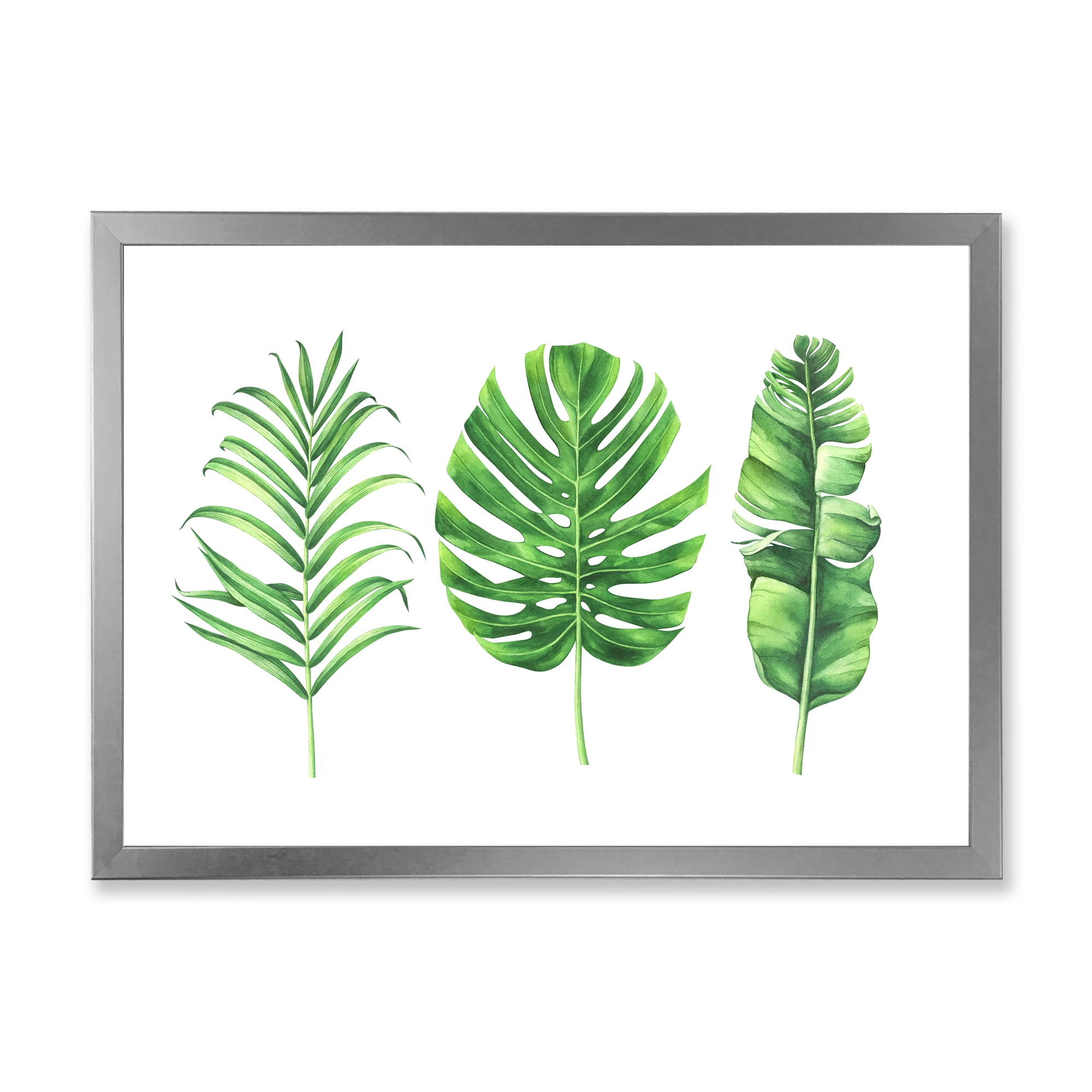 Designart 'Close Up Of Tropical Leaf Of Monstera IV' Farmhouse Framed Art Print