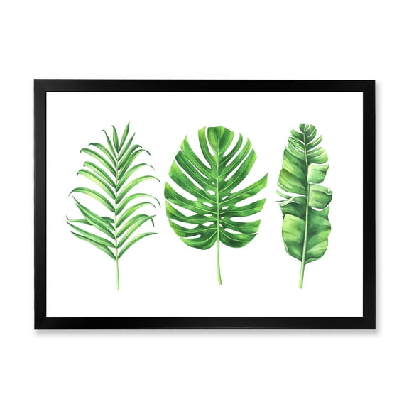 Designart 'Close Up Of Tropical Leaf Of Monstera IV' Farmhouse Framed Art Print