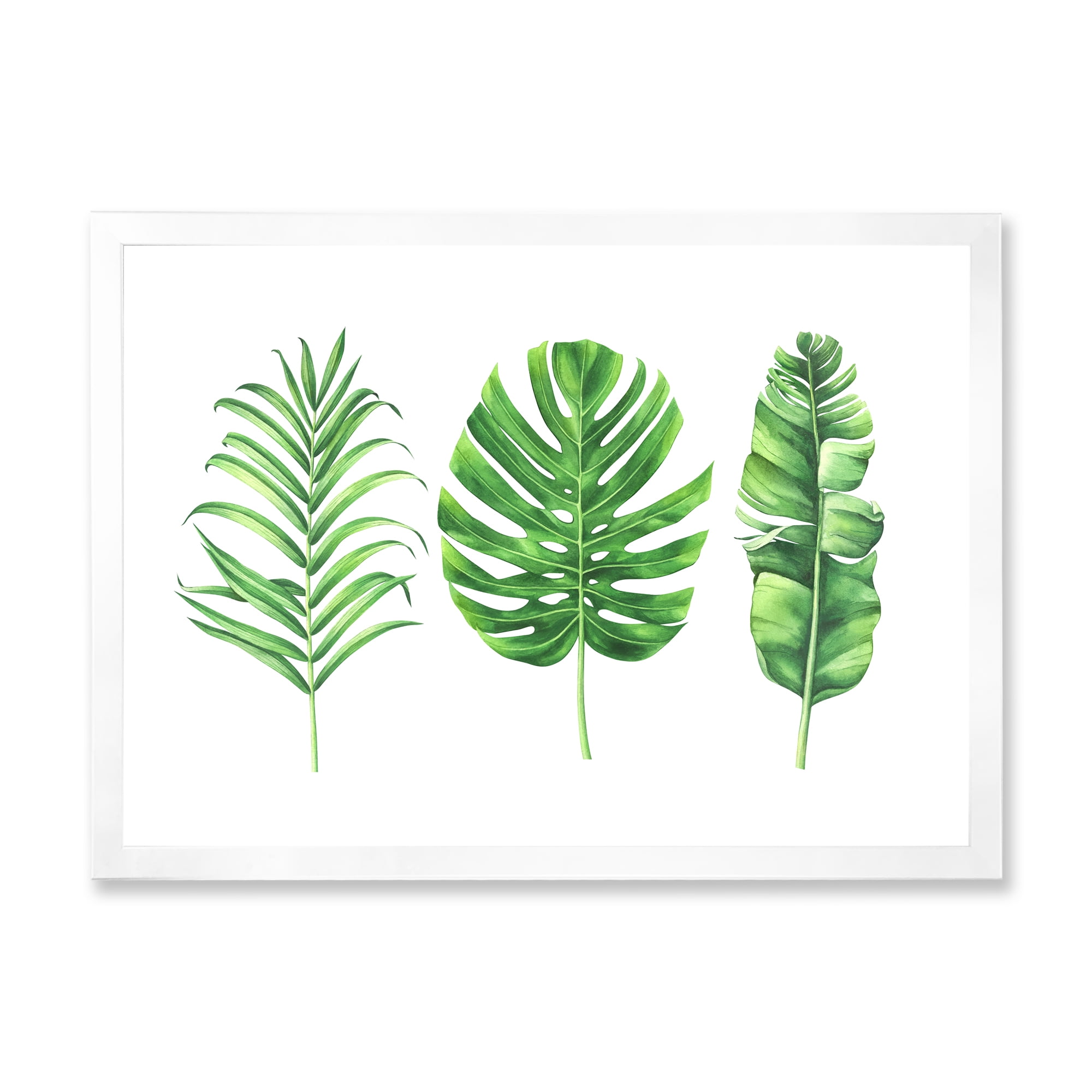 Designart 'Close Up Of Tropical Leaf Of Monstera IV' Farmhouse Framed Art Print
