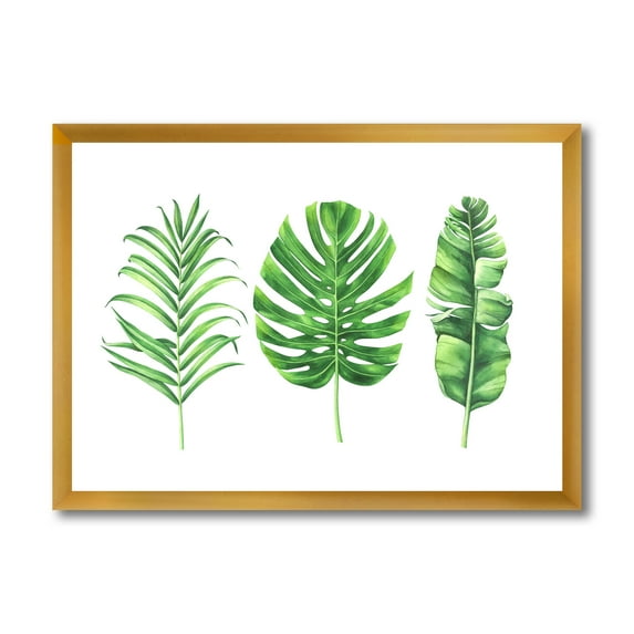 Designart 'Close Up Of Tropical Leaf Of Monstera IV' Farmhouse Framed Art Print