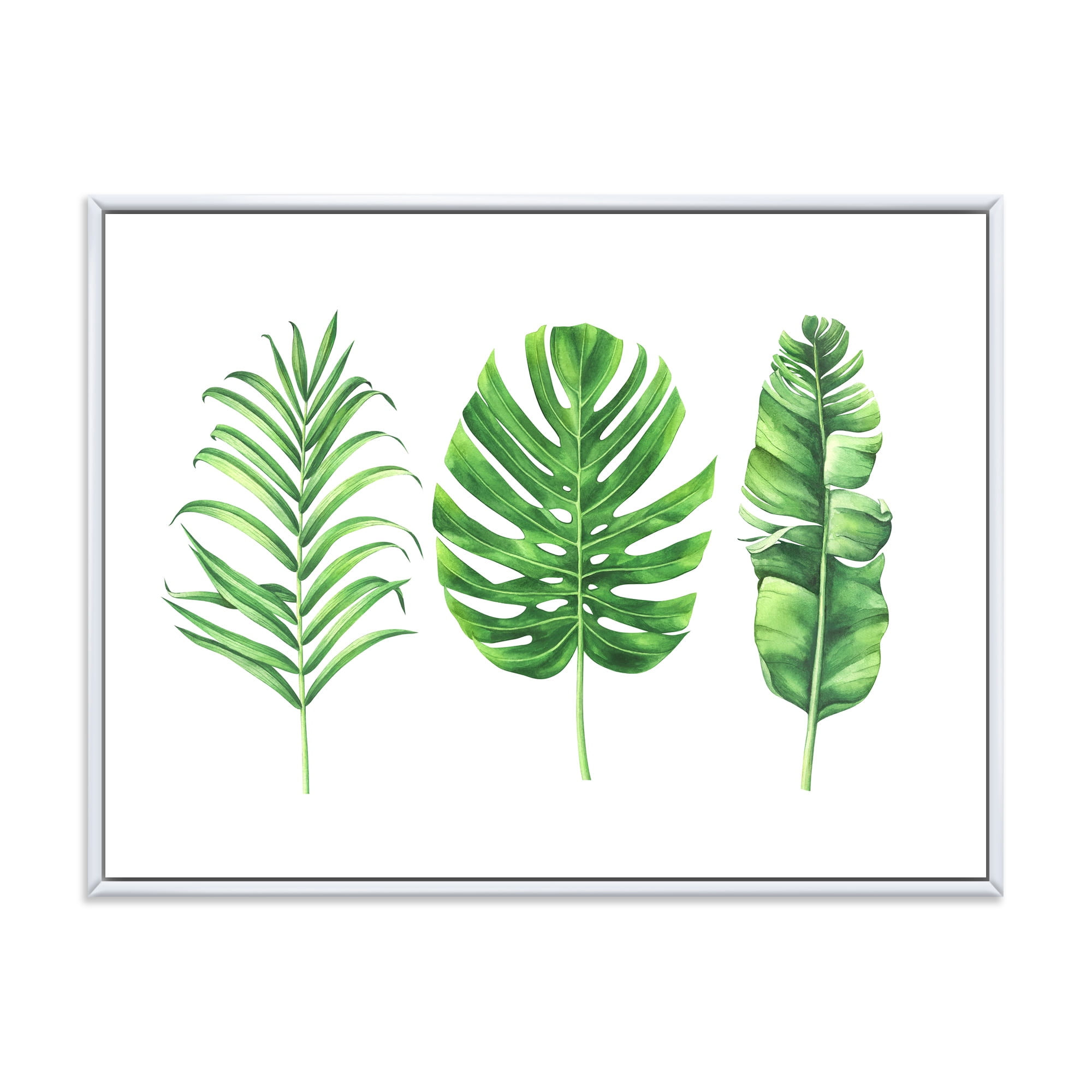Designart 'Close Up Of Tropical Leaf Of Monstera IV' Farmhouse Framed Canvas Wall Art Print