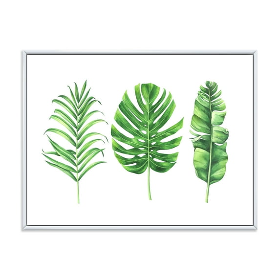 Designart 'Close Up Of Tropical Leaf Of Monstera IV' Farmhouse Framed Canvas Wall Art Print