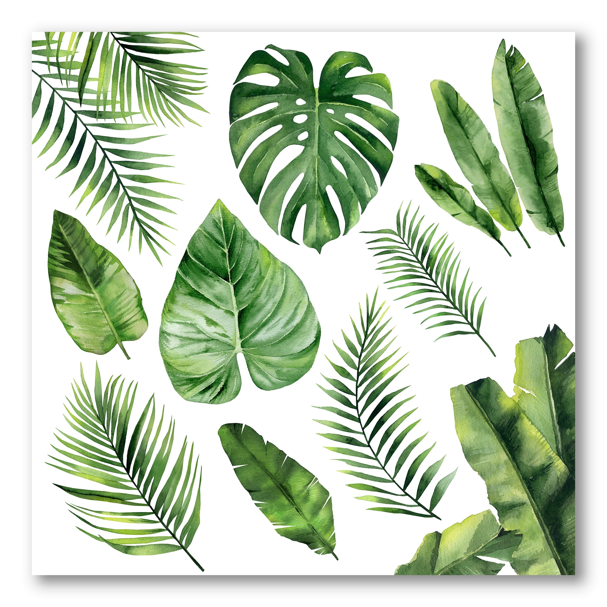 Designart ' Close Up Of Tropical Leaf Of Monstera V ' Farmhouse Canvas Wall Art Print
